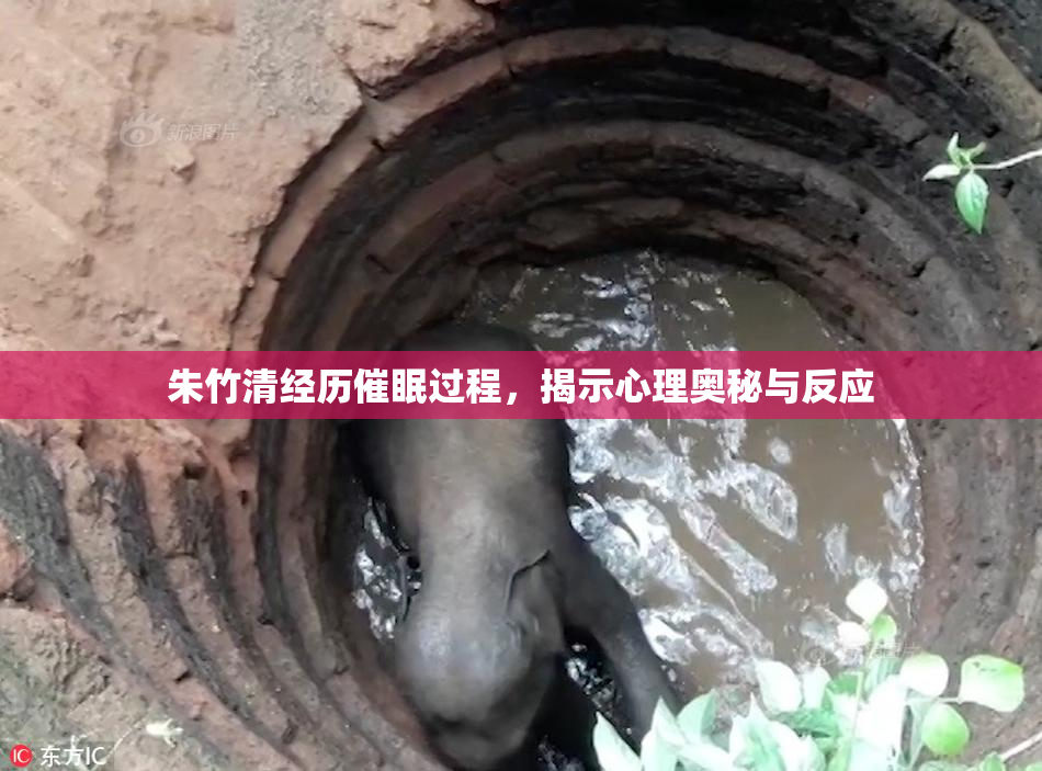 朱竹清经历催眠过程，揭示心理奥秘与反应