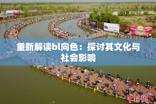 重新解读bl向色：探讨其文化与社会影响
