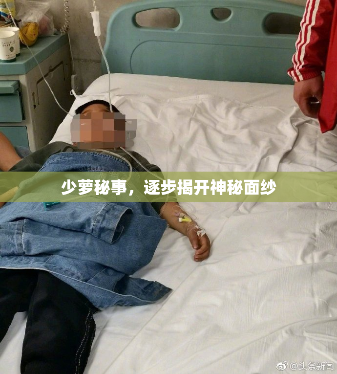 少萝秘事，逐步揭开神秘面纱