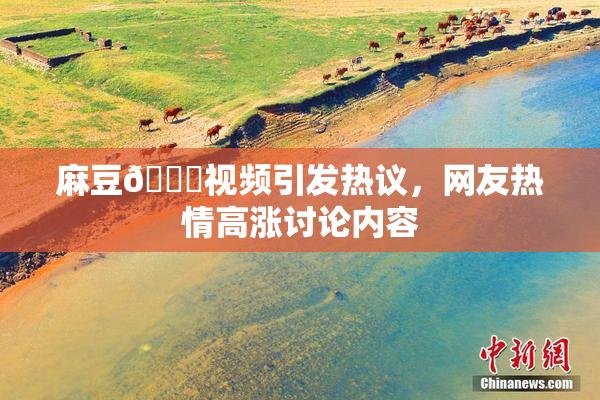 麻豆🔞视频引发热议，网友热情高涨讨论内容