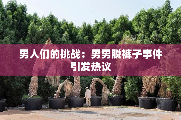 男人们的挑战：男男脱裤子事件引发热议
