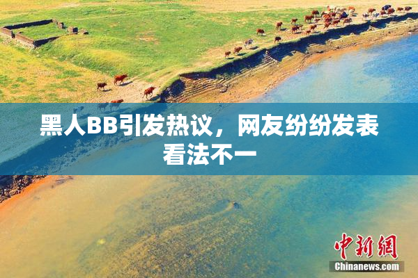 黑人BB引发热议，网友纷纷发表看法不一