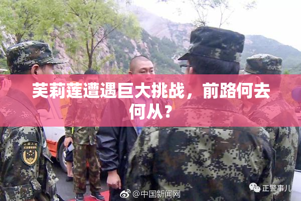 芙莉莲遭遇巨大挑战，前路何去何从？