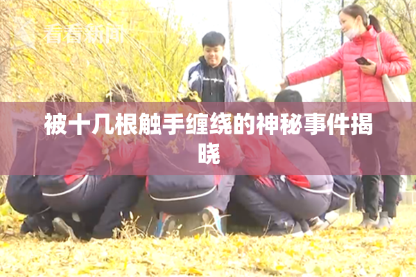 被十几根触手缠绕的神秘事件揭晓