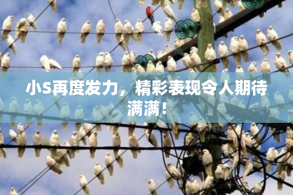 小S再度发力，精彩表现令人期待满满！