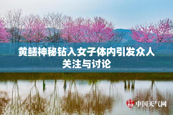 黄鳝神秘钻入女子体内引发众人关注与讨论