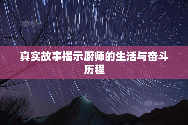 真实故事揭示厨师的生活与奋斗历程