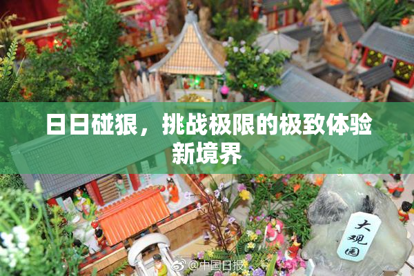 日日碰狠，挑战极限的极致体验新境界