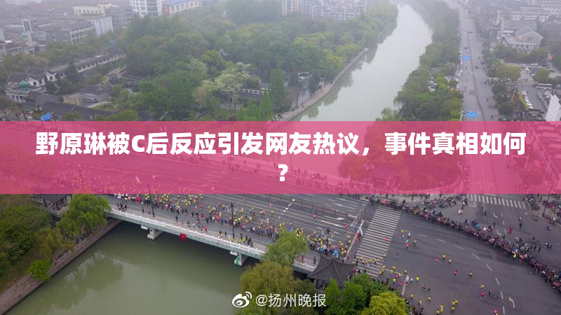 野原琳被C后反应引发网友热议，事件真相如何？
