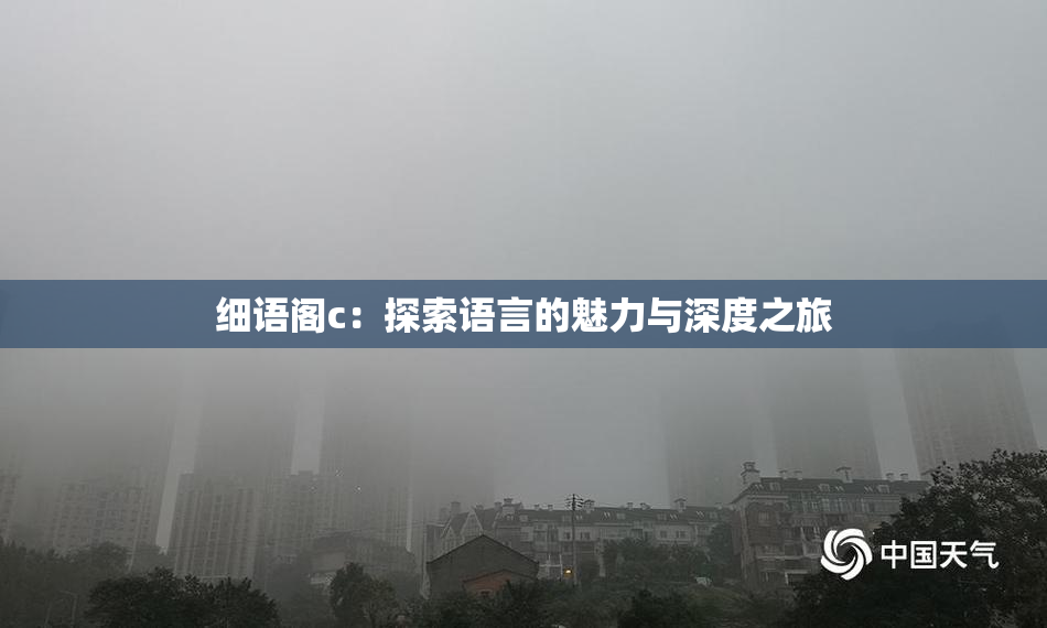细语阁c：探索语言的魅力与深度之旅