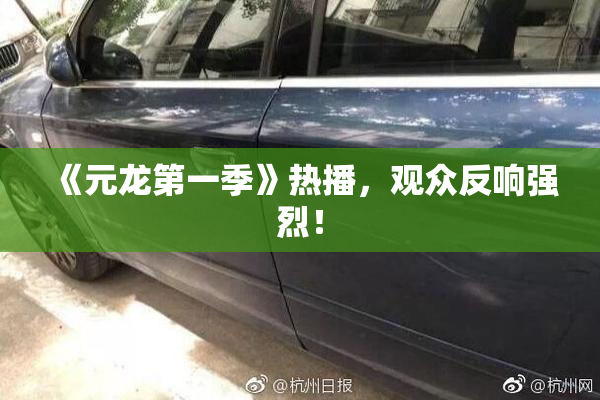 《元龙第一季》热播，观众反响强烈！