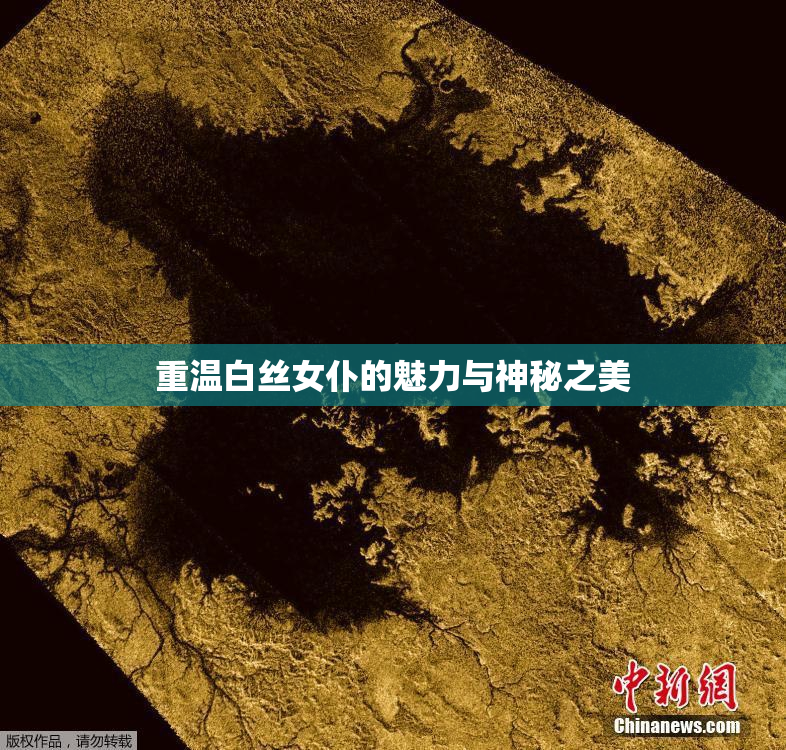 重温白丝女仆的魅力与神秘之美