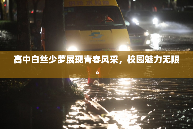 高中白丝少萝展现青春风采，校园魅力无限。