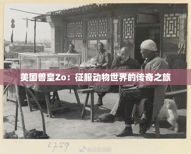 美国兽皇Zo：征服动物世界的传奇之旅