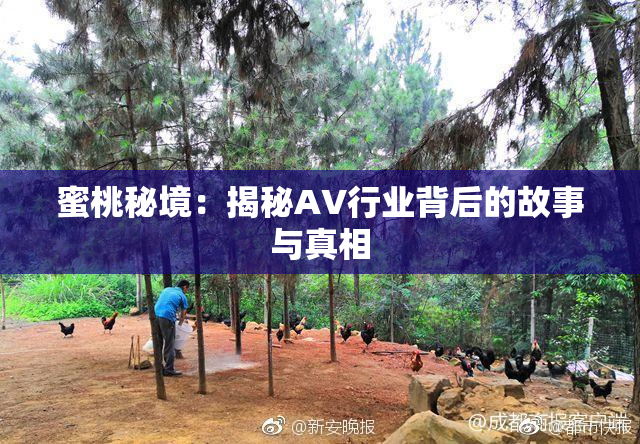 蜜桃秘境：揭秘AV行业背后的故事与真相
