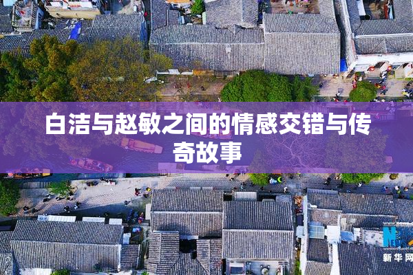 白洁与赵敏之间的情感交错与传奇故事