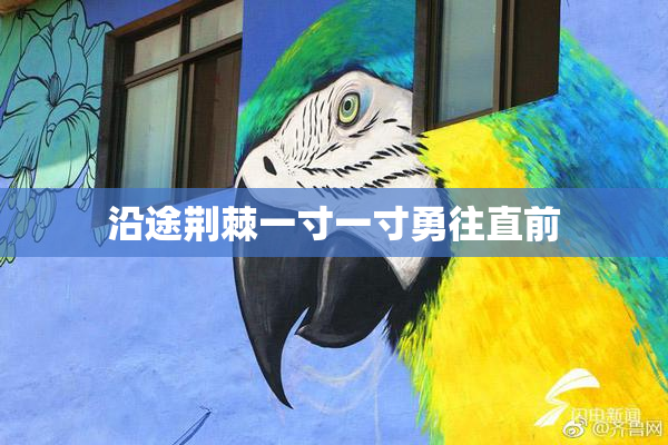 沿途荆棘一寸一寸勇往直前