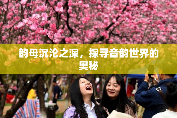 韵母沉沦之深，探寻音韵世界的奥秘