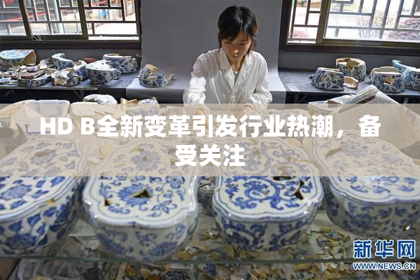 HD B全新变革引发行业热潮，备受关注