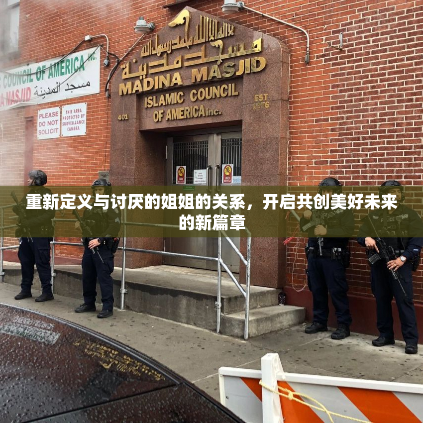 重新定义与讨厌的姐姐的关系，开启共创美好未来的新篇章