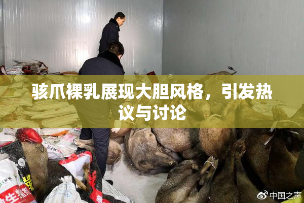 骇爪裸乳展现大胆风格，引发热议与讨论