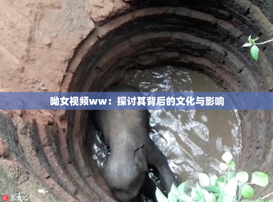 呦女视频ww：探讨其背后的文化与影响