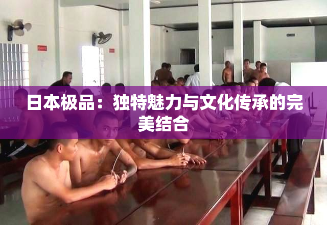 日本极品：独特魅力与文化传承的完美结合