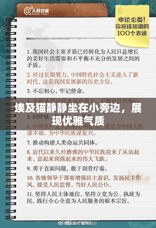 埃及猫静静坐在小旁边，展现优雅气质