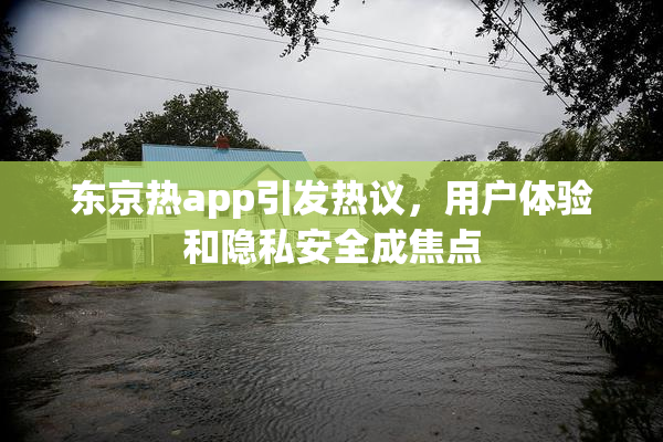 东京热app引发热议，用户体验和隐私安全成焦点