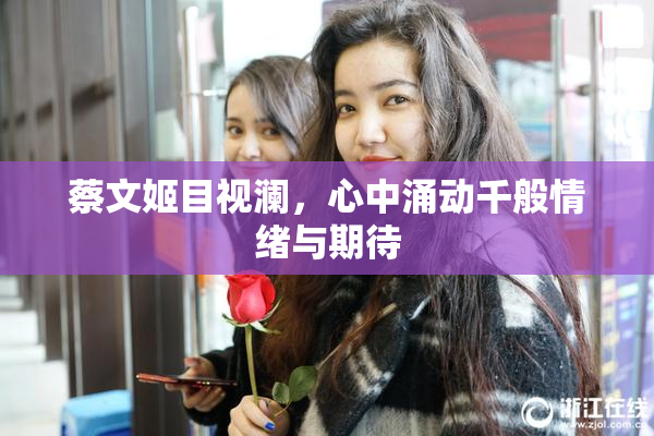 蔡文姬目视澜，心中涌动千般情绪与期待