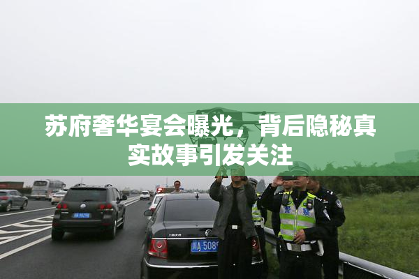 苏府奢华宴会曝光，背后隐秘真实故事引发关注