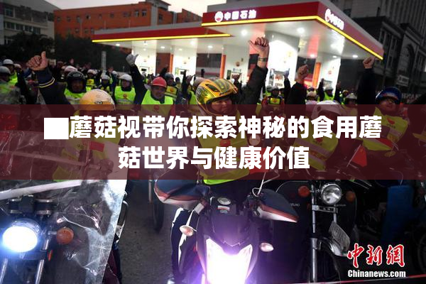 ▇蘑菇视带你探索神秘的食用蘑菇世界与健康价值