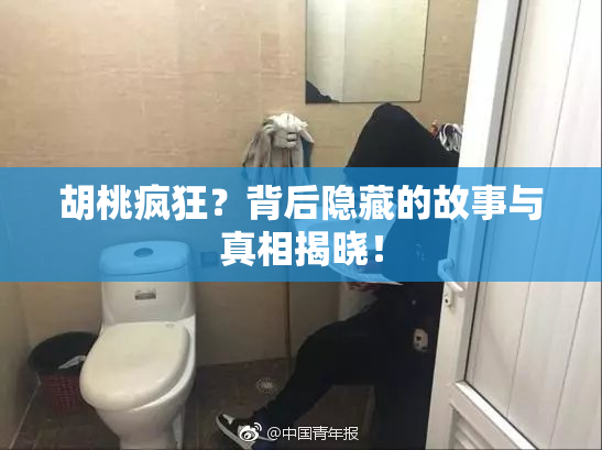 胡桃疯狂？背后隐藏的故事与真相揭晓！