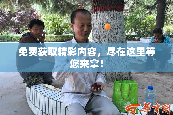 免费获取精彩内容，尽在这里等您来拿！