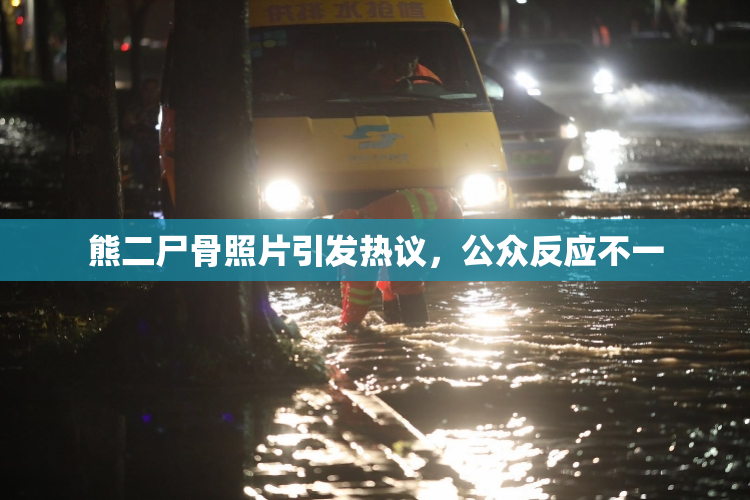 熊二尸骨照片引发热议，公众反应不一