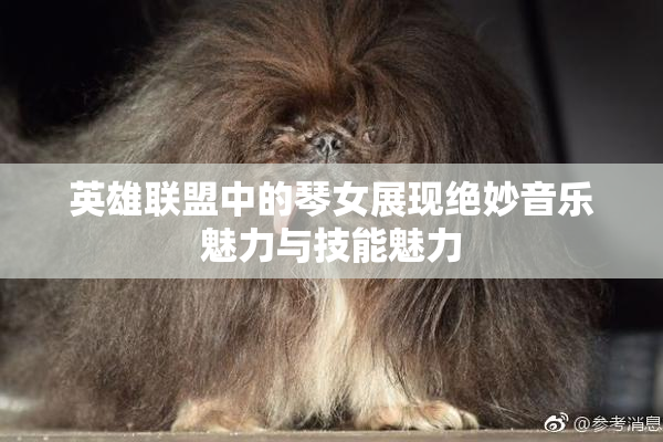 英雄联盟中的琴女展现绝妙音乐魅力与技能魅力