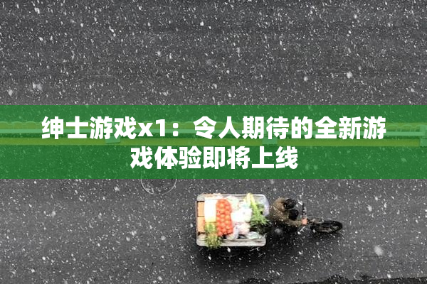 绅士游戏x1：令人期待的全新游戏体验即将上线