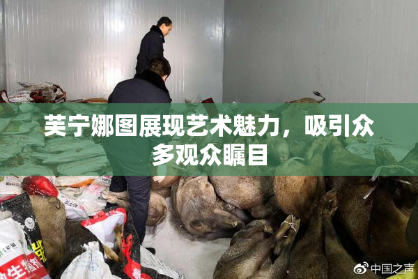 芙宁娜图展现艺术魅力，吸引众多观众瞩目