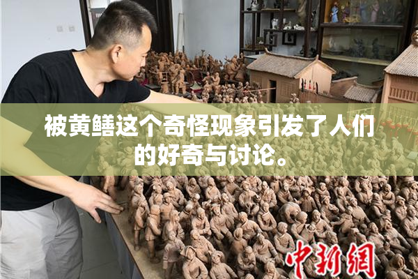 被黄鳝这个奇怪现象引发了人们的好奇与讨论。