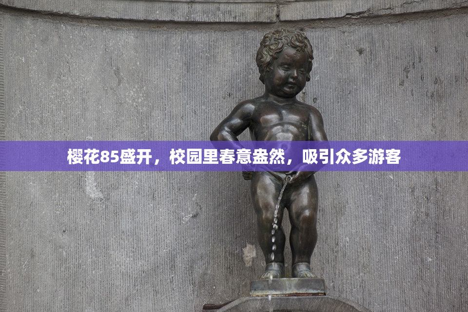 樱花85盛开，校园里春意盎然，吸引众多游客