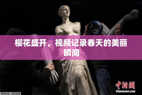 樱花盛开，视频记录春天的美丽瞬间