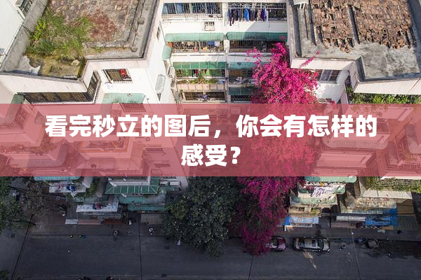 看完秒立的图后，你会有怎样的感受？