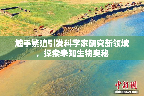 触手繁殖引发科学家研究新领域，探索未知生物奥秘