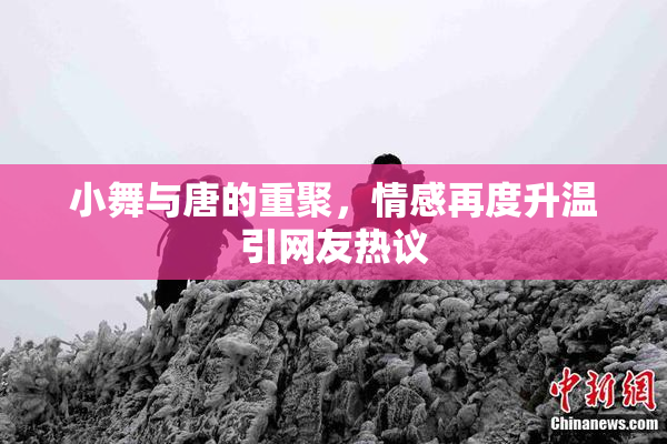 小舞与唐的重聚，情感再度升温引网友热议