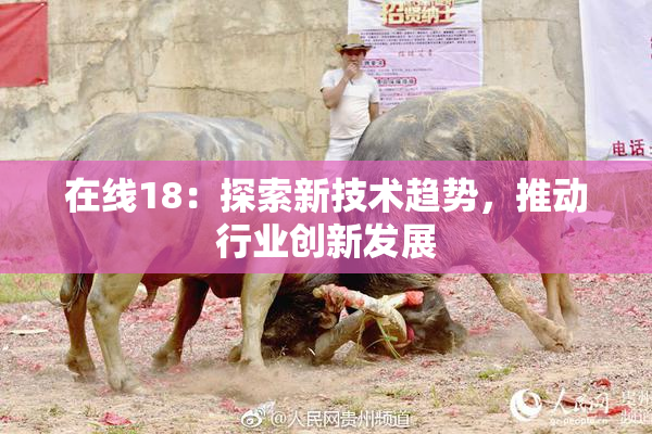 在线18：探索新技术趋势，推动行业创新发展