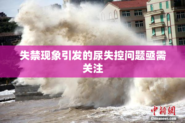 失禁现象引发的尿失控问题亟需关注