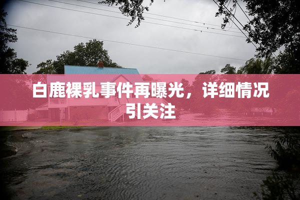 白鹿裸乳事件再曝光，详细情况引关注
