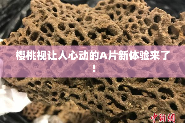 樱桃视让人心动的A片新体验来了！