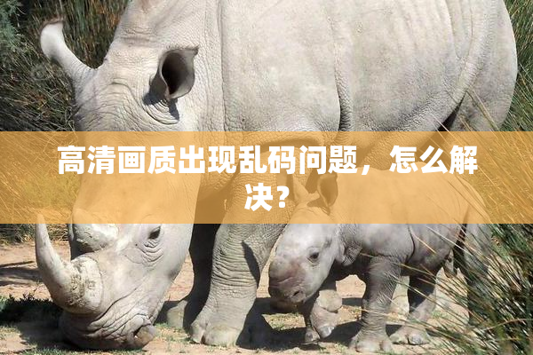 高清画质出现乱码问题，怎么解决？