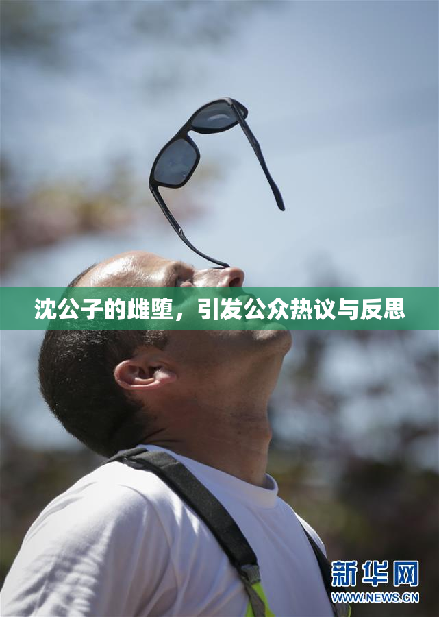 沈公子的雌堕，引发公众热议与反思
